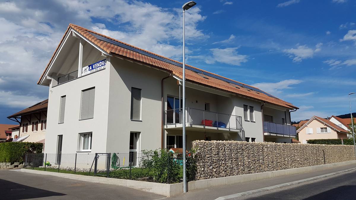 Agassis Bavois